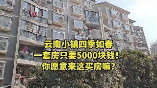 云南小镇四季如春，一套房只要5000块钱，你愿意来这养老吗