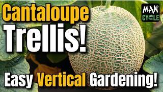 Cantaloupe TRELLIS Built with Repurposed Materials! EASY and QUICK Build!