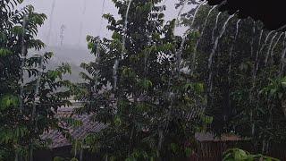 Heavy Rain & Thunderstorms in My Village, It Feels Cool to Be in This Place - Sleep Therapy