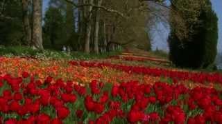 Insel Mainau Imagefilm (Frühling)