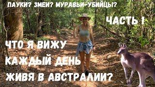 Природа Австралии  - моя повседневная жизнь - Подборка #1