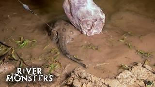 Unique Slow Motion Footage of a Deadly STINGRAY ATTACK | River Monsters