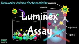 Luminex Assay | Multiplex Immuno Assay | Luminex xMAP Technology | Multiplex Assay |