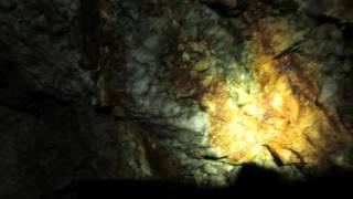 Exploring an Old Gold Mine;  Quartz and Iron Vein(s)