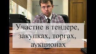 Участие в тендере, закупках, торгах, аукционах: помощь адвоката