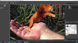 LIV Lesson - Photo Editing 8 - Basic Photo Compositing Part 2