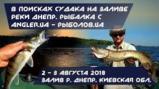 В ПОИСКАХ СУДАКА НА ЗАЛИВЕ РЕКИ ДНЕПР. РЫБАЛКА С ANGLER.UA - РЫБОЛОВ.UA