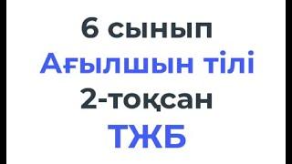 6 сынып Ағылшын тілі 2-тоқсан ТЖБ