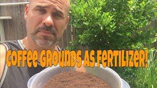 Why Use Coffee Grounds As Fertilizer?