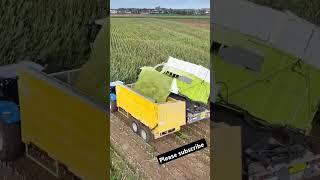 Claas Jaguar 980 in action! #Claas #agriculturalmachinery #harvestseason – Powering through harvest.