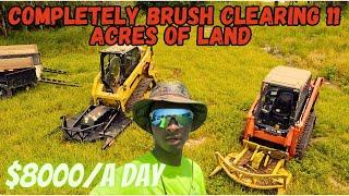 Completely Brush Clearing 11 Acres with Two Skid Steers | Is the Chinese Brush Cutter Worth Buying?