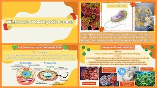  (SCIENCE) What are Prokaryotic Cells? | #iQuestionPH