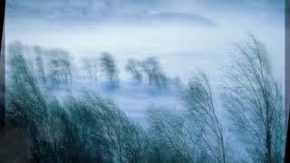 Sounds4Sleeping ~Howling Wind