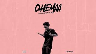 Dicey Dyce - OHEMAA [NON LIVING THING COVER] (Audio)