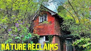 We Discover A Beautiful Derelict House In The Trees