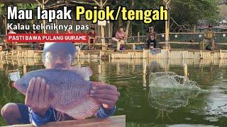 Pond gourami fishing‼️if the technique is right, any stall will definitely strike