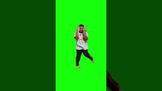 Sparkle Sparkle Guy Dancing | Green Screen