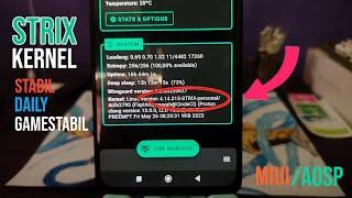 New Kernel STRIX-Personal Beta for MIUI/AOSP Redmi Note 10 Pro