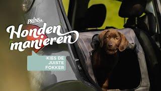 Hondenmanieren Q&A: Hoe kies je de juiste Fokker met Hondenbescherming NL