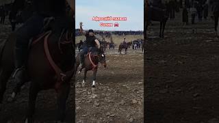 #Afrosiyob #palvon #buzkashi #kopkari #uloq #shorts #video