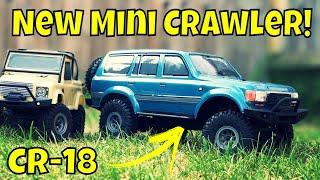 New Mini Crawler! 1/18 Hobby Plus CR-18 Toyota Land Cruiser RC Crawler FTX RGT SCX24