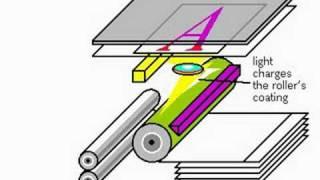 Xerography  (or electrophotography)