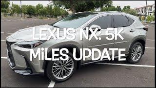 2024 Lexus NX350h: 5,000 miles Update and Problems