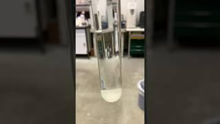 Crystal growing from Metasilicate + Calcium nitrate  #shorts