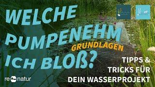 Wie finde ich die richtige Pumpe für mein Wassergartenprojekt?