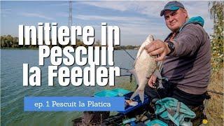 Initiere in pescuitul la feeder - ep.1 Pescuit la platica