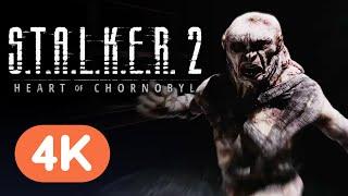 S.T.A.L.K.E.R. 2: Heart of Chornobyl - Official Trailer | Xbox Showcase 2024