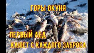 Поклевка с каждого заброса. Как ловить окуня по первому льду. Открытие сезона бешенный клев