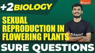 Plus Two Biology Public Exam | Sexual Reproduction in Flowering Plants | Eduport Plus Two