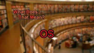 What does OS mean?