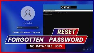 How to Reset Forgotten Password • Fix Password is incorrect • Windows 10/11 • No File Loss • No USB