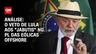 Análise: O veto de Lula aos "jabutis" no PL das eólicas offshore | WW