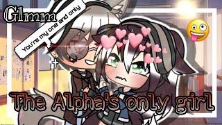 •The Alpha's only Girl• || GLMM || Gacha life mini movie||