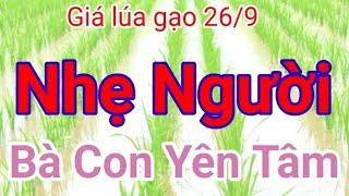 Giá lúa gạo hôm nay 26/9/2024  Bảng giá lúa - Việt Nam đã trúng thầu cung cấp 59.000 tấn gạo