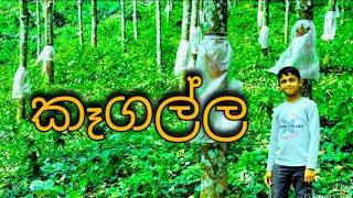 Natural beauty of Kegalle | Rubber Trees  | රබර් ගස් | Beautiful  River in Kegalle