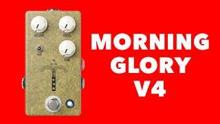 JHS Pedals Morning Glory V4