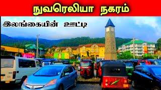 கடுமையான குளிரில் நுவரெலியா நகரம் ️ Nuwara Eliya Town 