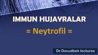 = NEYTROFIL =[Immun hujayra]