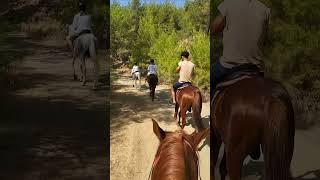 Прогулка верхом в Кемере