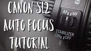 Explained! - Canon Auto Focus Modes - Rebel SL2 200D Tutorial