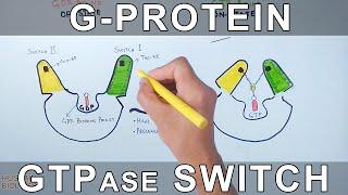 G-Protein and GTPase Switching Mechanism