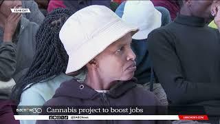 Cannabis project to boost jobs