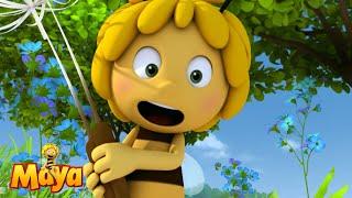 The bees and the dragons - Maya the Bee  - FULL COMPILATION