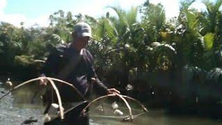 pamimintol ng alimango sa ilog tabsing