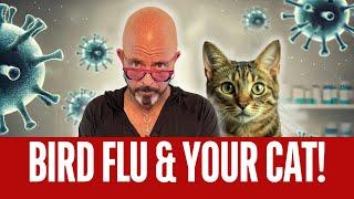 What you NEED to know about Bird Flu!