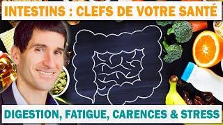 Le secret de santé par les INTESTINS : Digestion, fatigue, carences, stress et neurologie ?